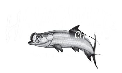 Hawgwild Fishing Charters | Fort Myers Fishing Charters - Off Shore Fishing Charters, Near Shore Fishing Charters, Deep Sea Fishing Charters